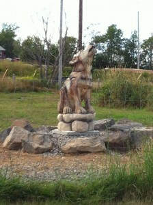 timber